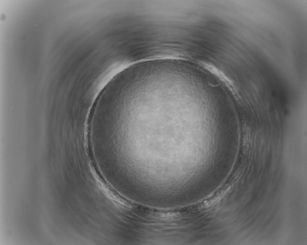 X0000087321423200704271416