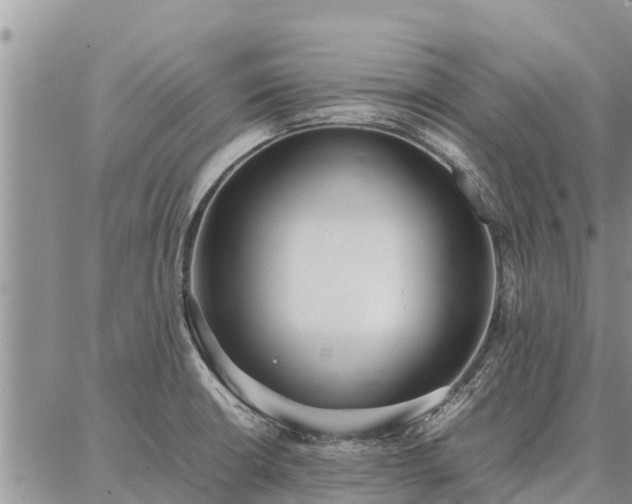 X0000087321426200704271416