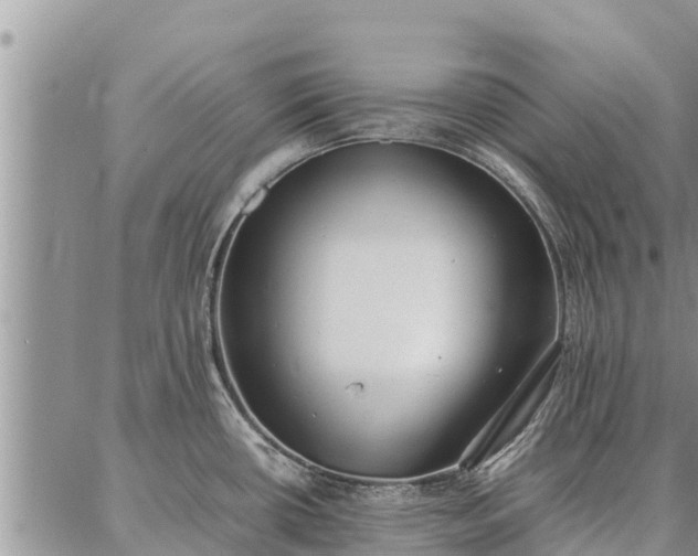 X0000087321434200704271416