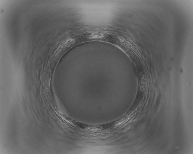 X0000087321441200704271415