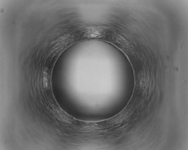 X0000087321442200704271415