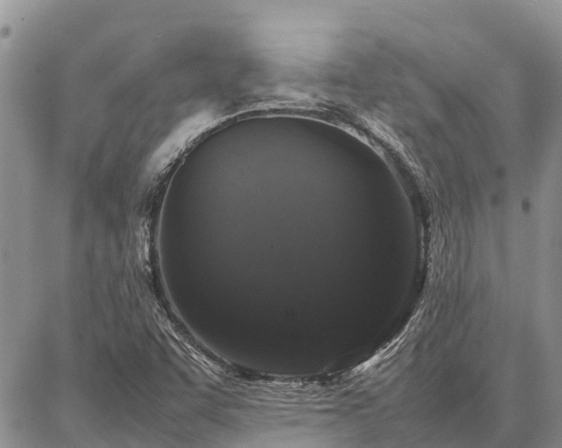 X0000087321455200704271415
