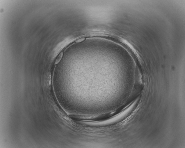 X0000087321461200704271415