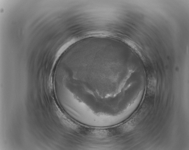 X0000087321466200704271415