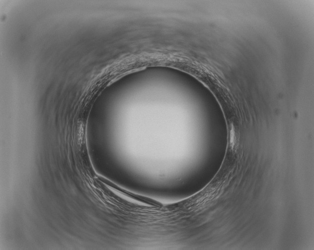 X0000087321492200704271414