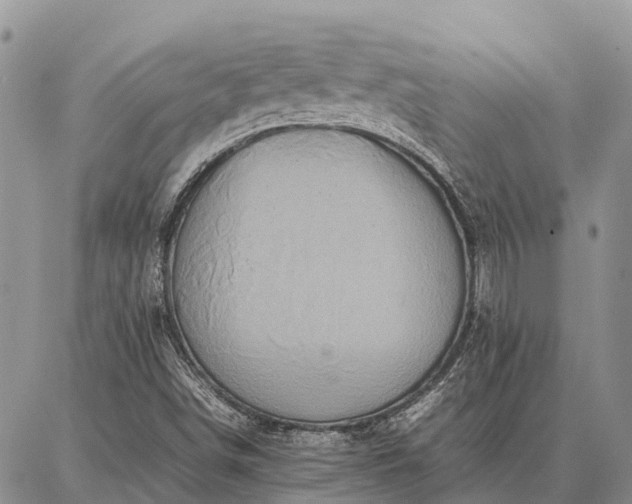 X0000087321498200704271414
