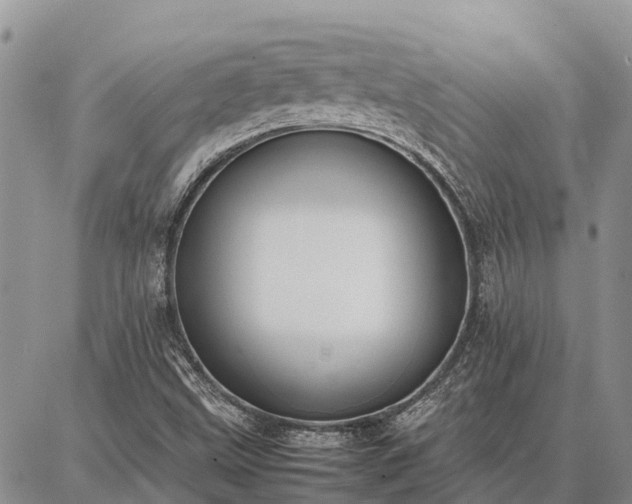X0000087321499200704271414