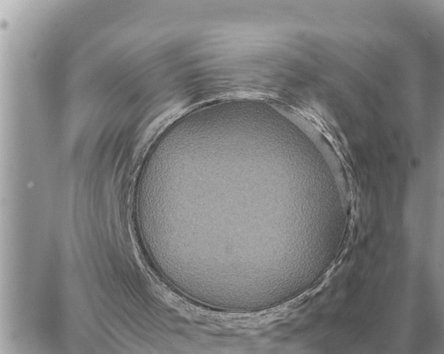 X0000087320001200705041726