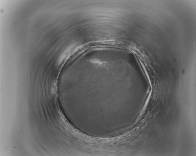 X0000087320002200705041726