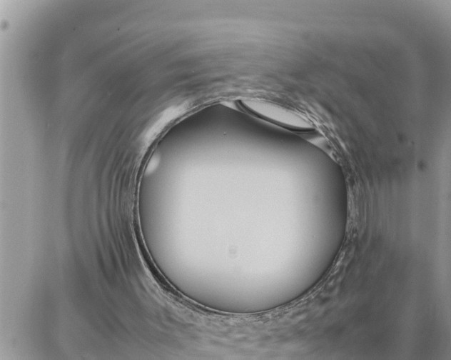 X0000087320003200705041726