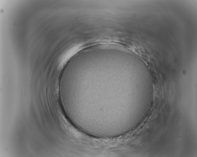 X0000087320005200705041726