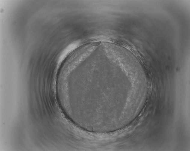 X0000087320006200705041726