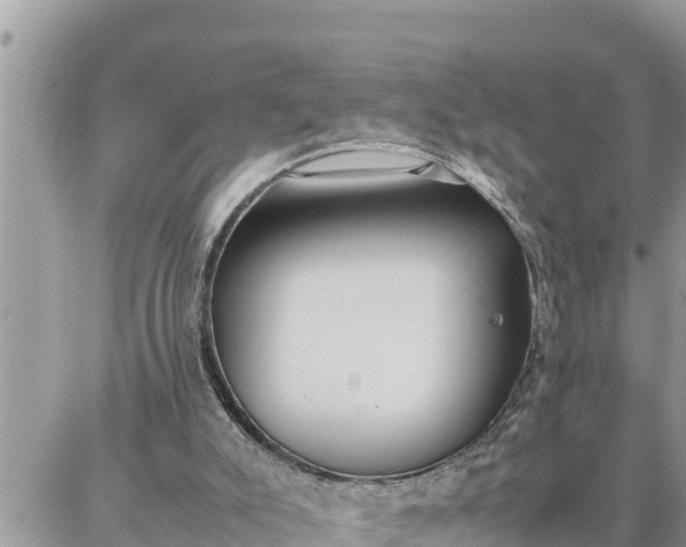 X0000087320007200705041726