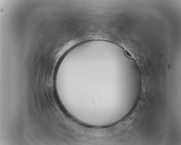 X0000087320008200705041726