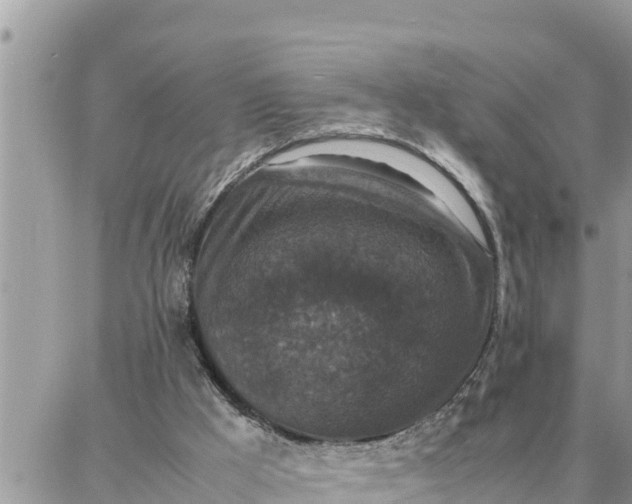 X0000087320009200705041726