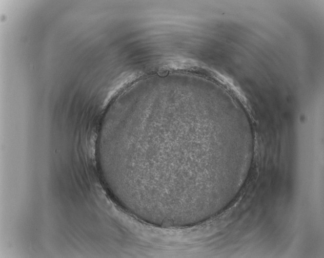 X0000087320010200705041726