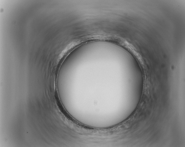 X0000087320011200705041726