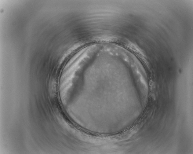 X0000087320012200705041726