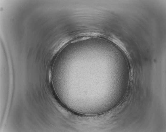 X0000087320013200705041726