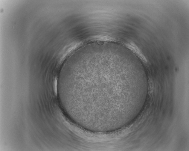 X0000087320014200705041726