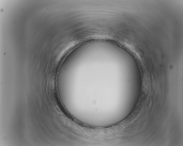 X0000087320015200705041726