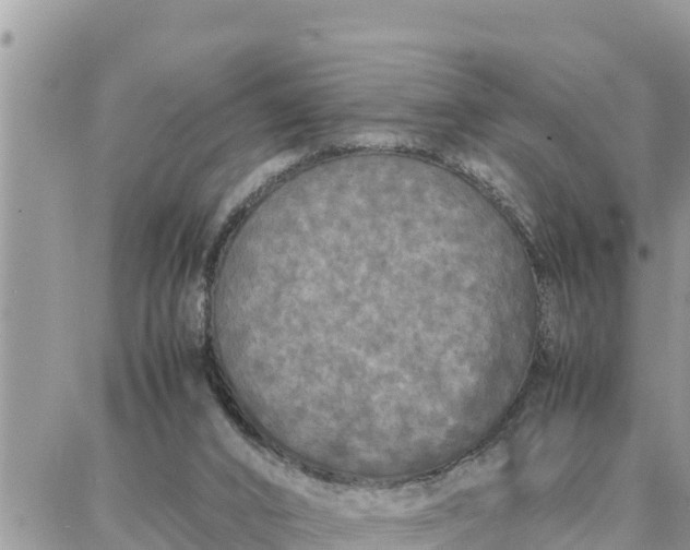 X0000087320016200705041726