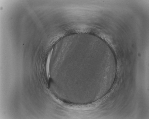 X0000087320017200705041726