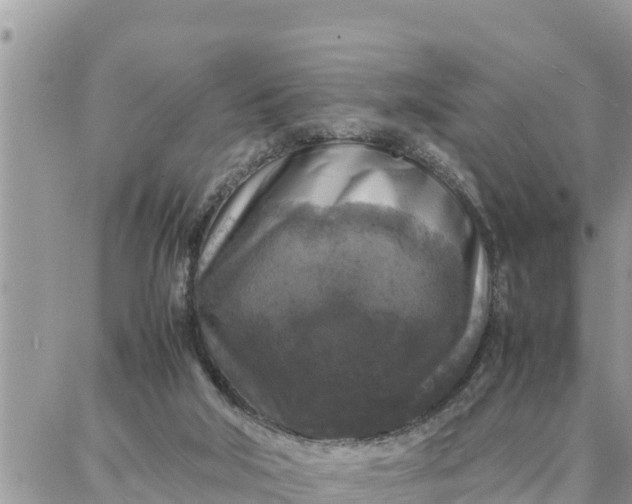 X0000087320018200705041726