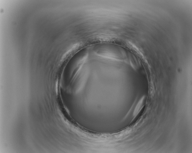 X0000087320019200705041726