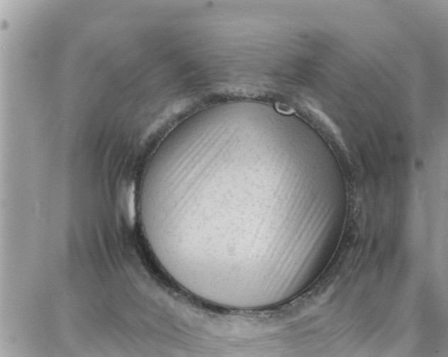 X0000087320020200705041726