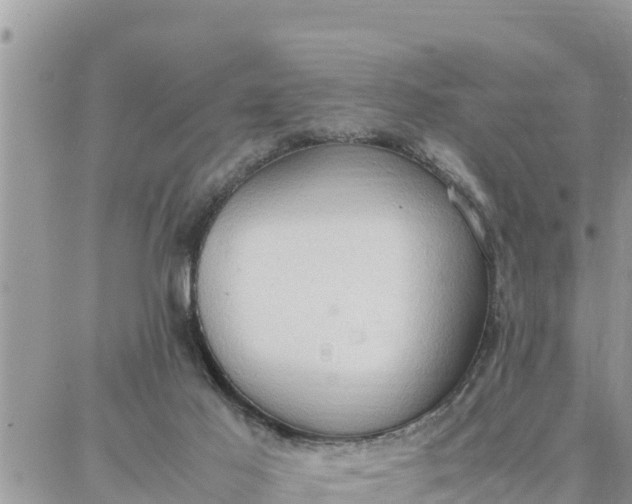 X0000087320021200705041726