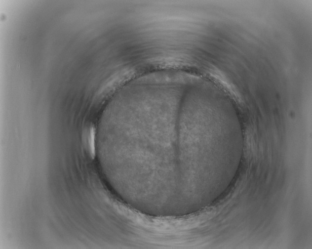 X0000087320022200705041726