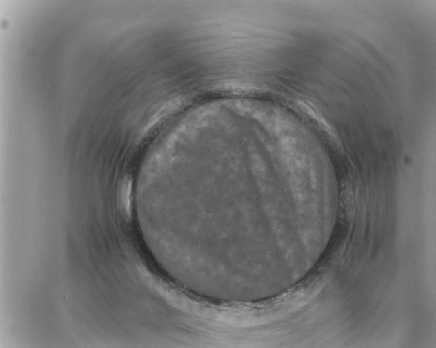 X0000087320024200705041726