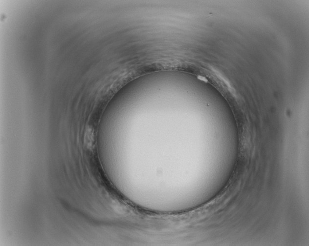 X0000087320025200705041726