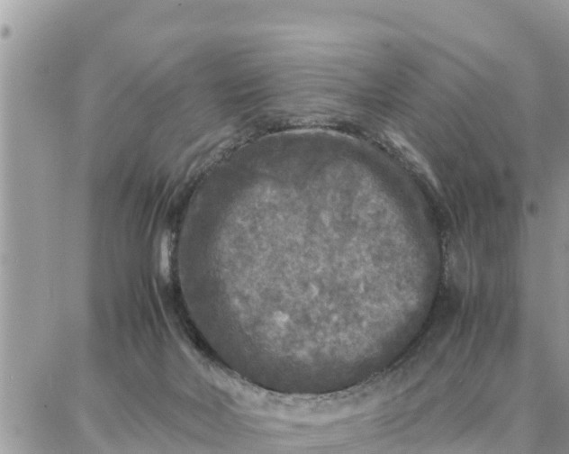 X0000087320026200705041726