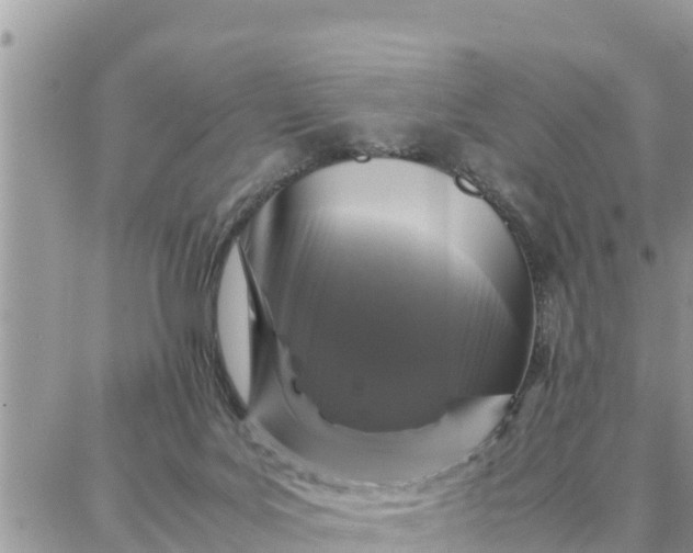 X0000087320027200705041726