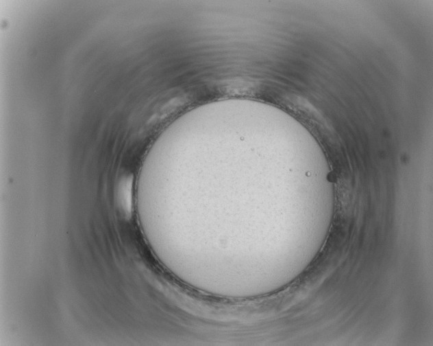 X0000087320028200705041726