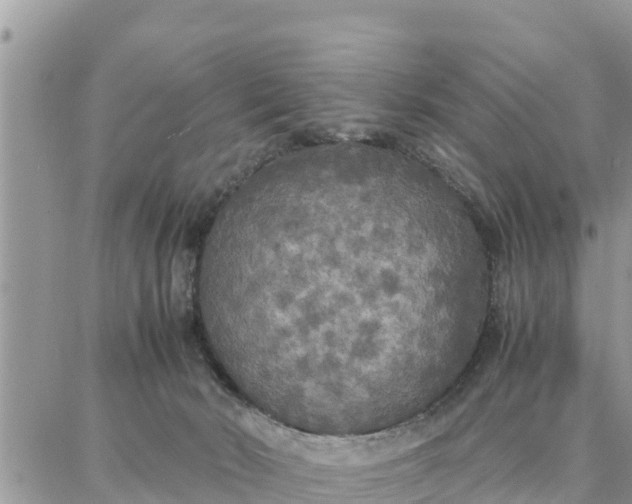 X0000087320030200705041726