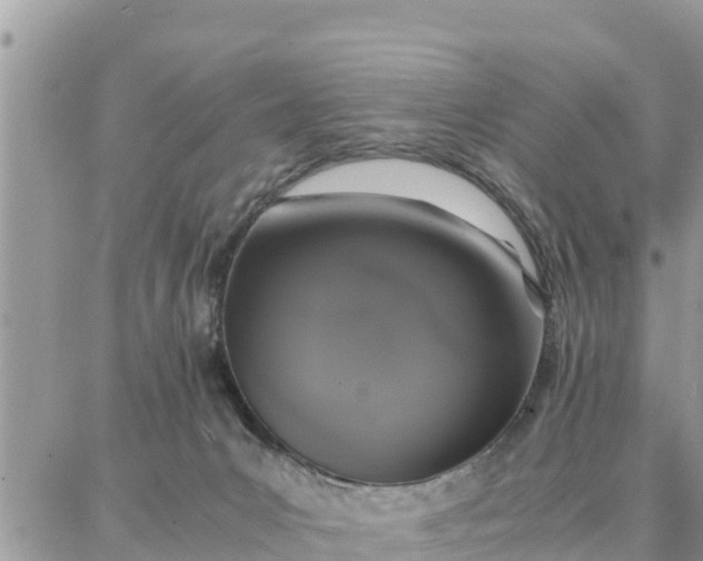 X0000087320031200705041726