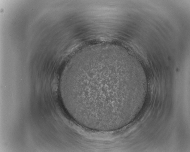 X0000087320032200705041725