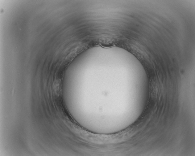 X0000087320034200705041725