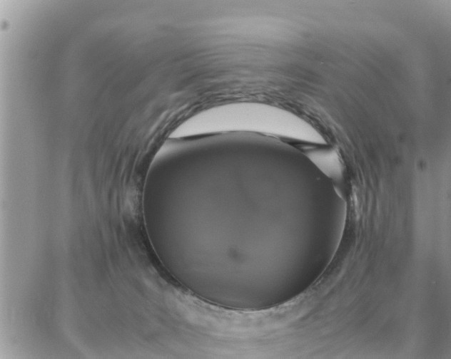 X0000087320035200705041725