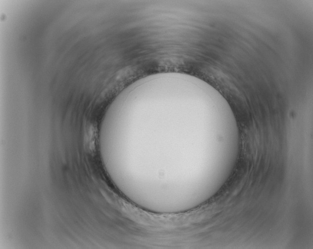 X0000087320038200705041725