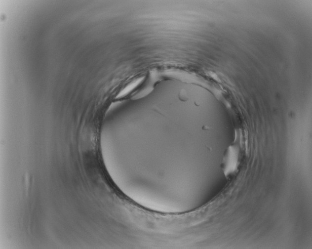 X0000087320039200705041725