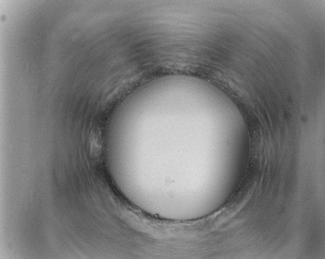 X0000087320040200705041725