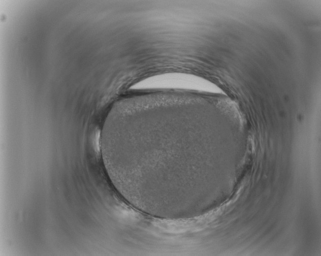 X0000087320041200705041725