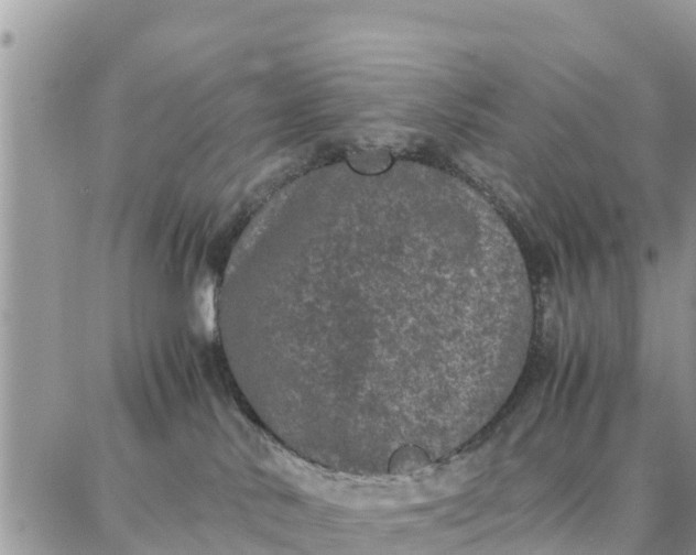 X0000087320042200705041725