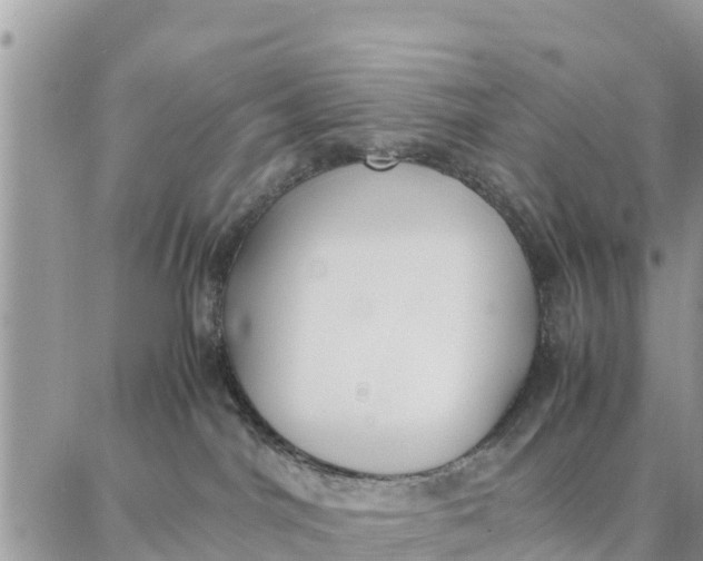 X0000087320044200705041725