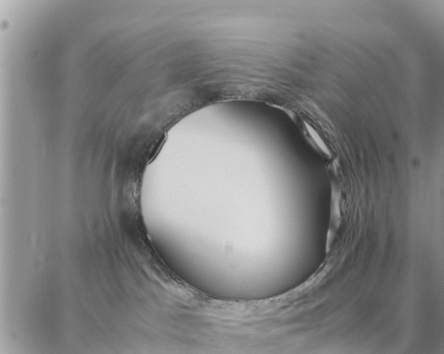 X0000087320045200705041725