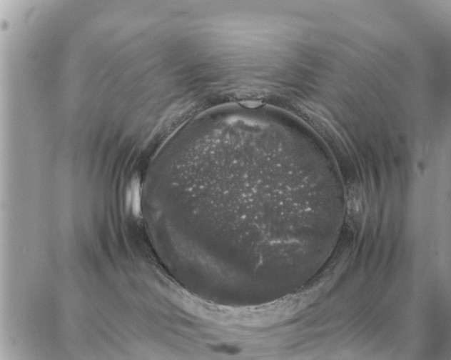 X0000087320046200705041725